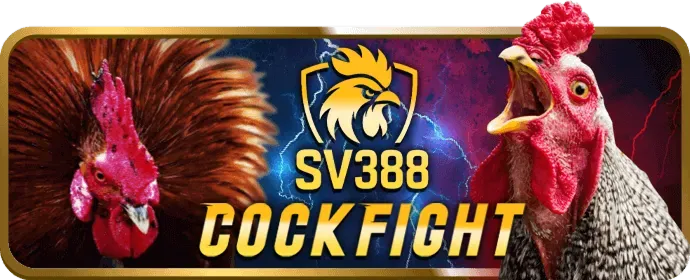 Hỗ trợ chat trực tuyến 24/7 của 566win nổ hũ